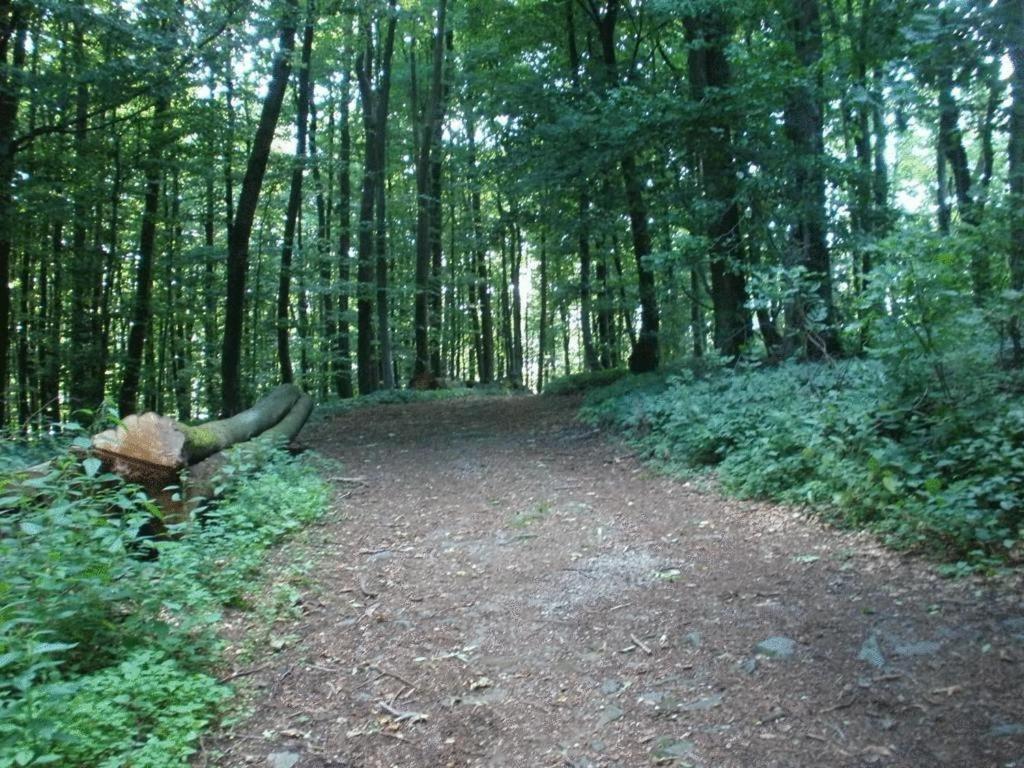 Ferienwohnung Irmgard Und Ferienwohnung Gerlinde Waldbrunn  المظهر الخارجي الصورة